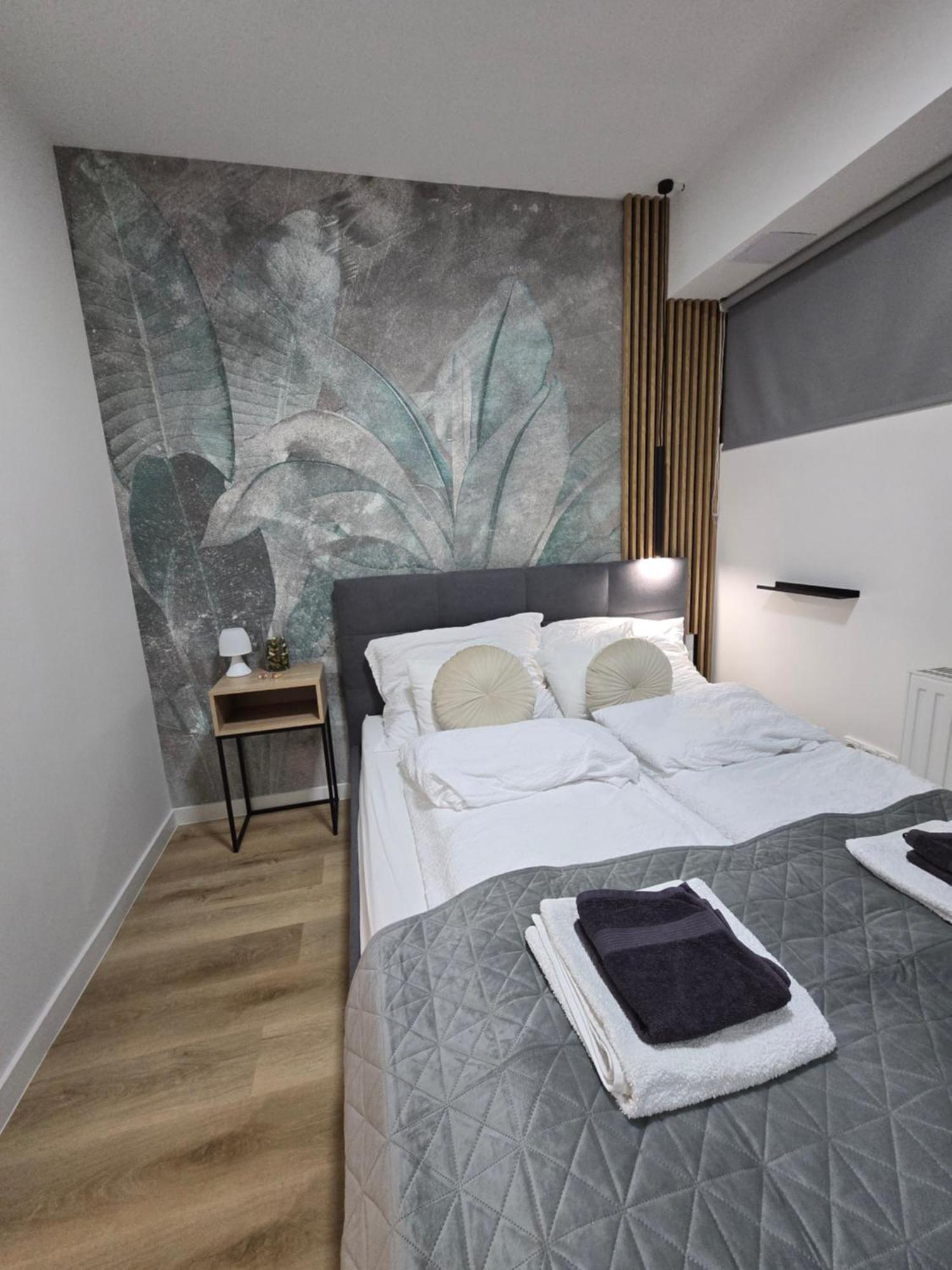 Z8 Premium Apartment Kaposvar